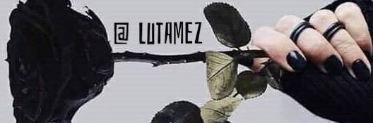 Lulú 💫 banner