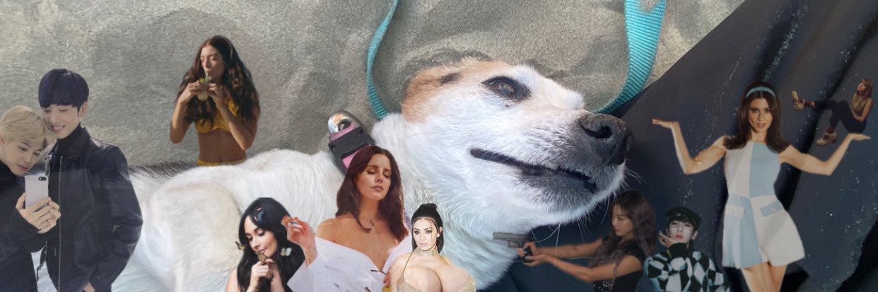 bvaeden's profile banner image
