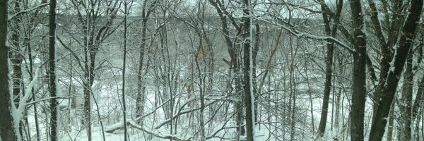 RICNewHall Profile Banner