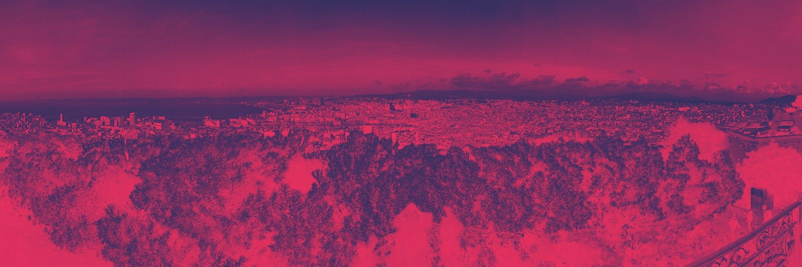 strv17 🕸 banner