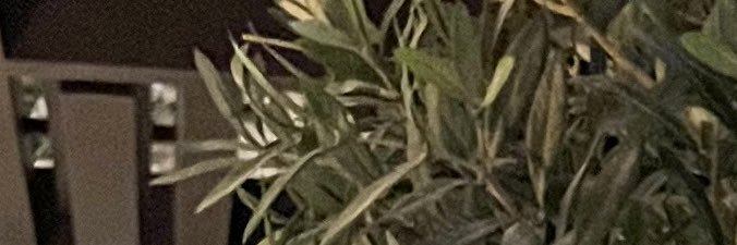 D7auj's profile banner image