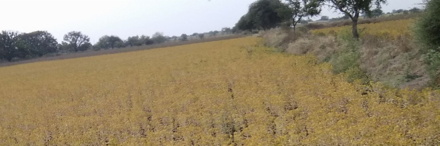 vineetd1996's profile banner image