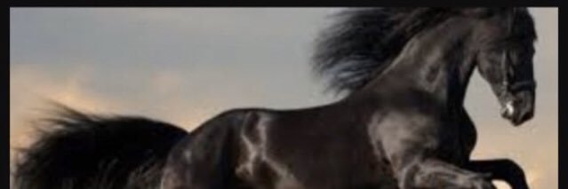 _12msm's profile banner image