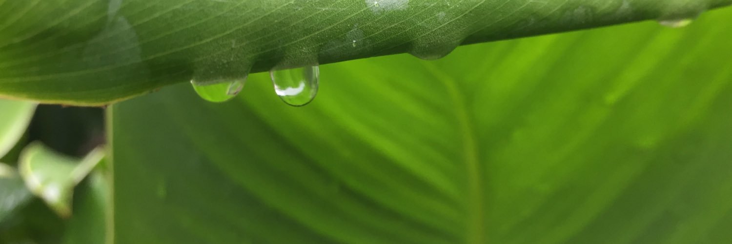 christobalderas's profile banner image