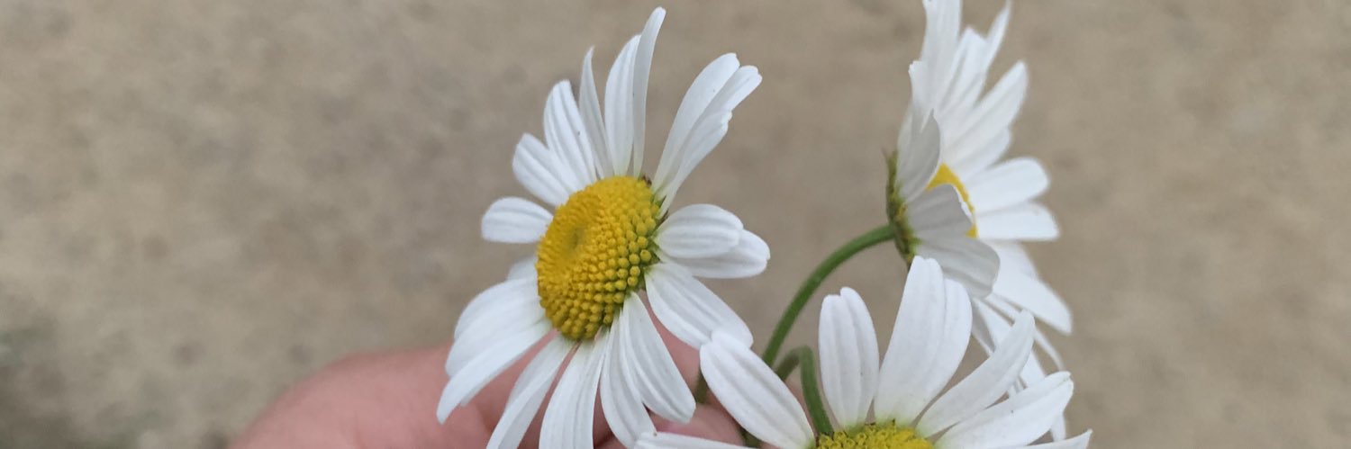 kayyddee's profile banner image