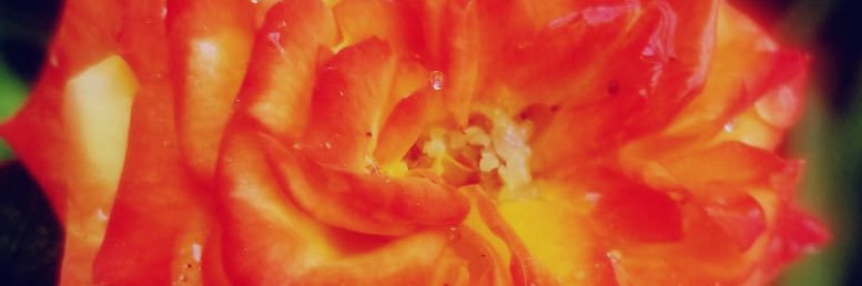kteresaaa_'s profile banner image