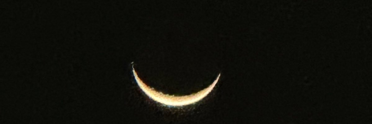 YomikoL's profile banner image