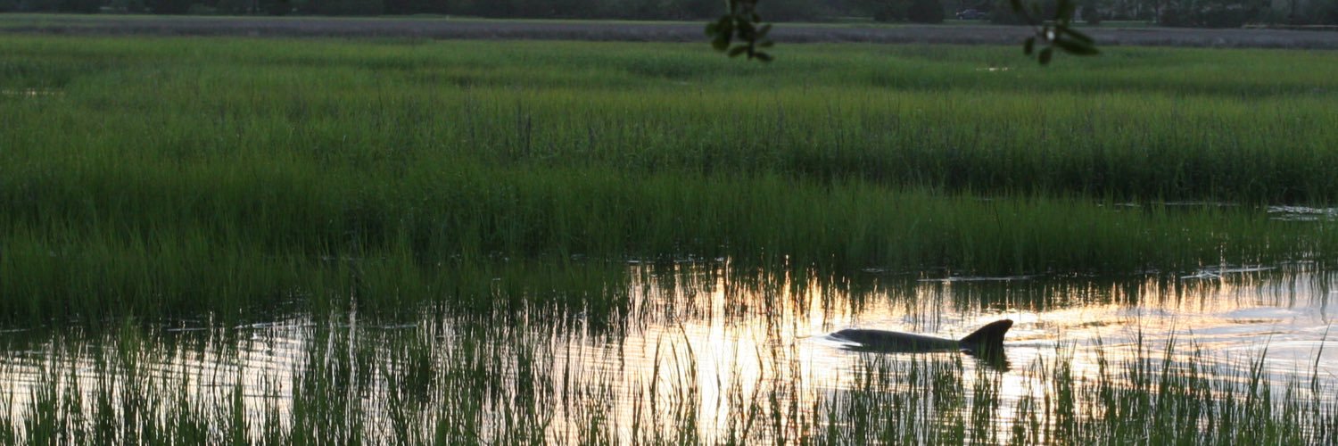 Peter L. Ruden  banner