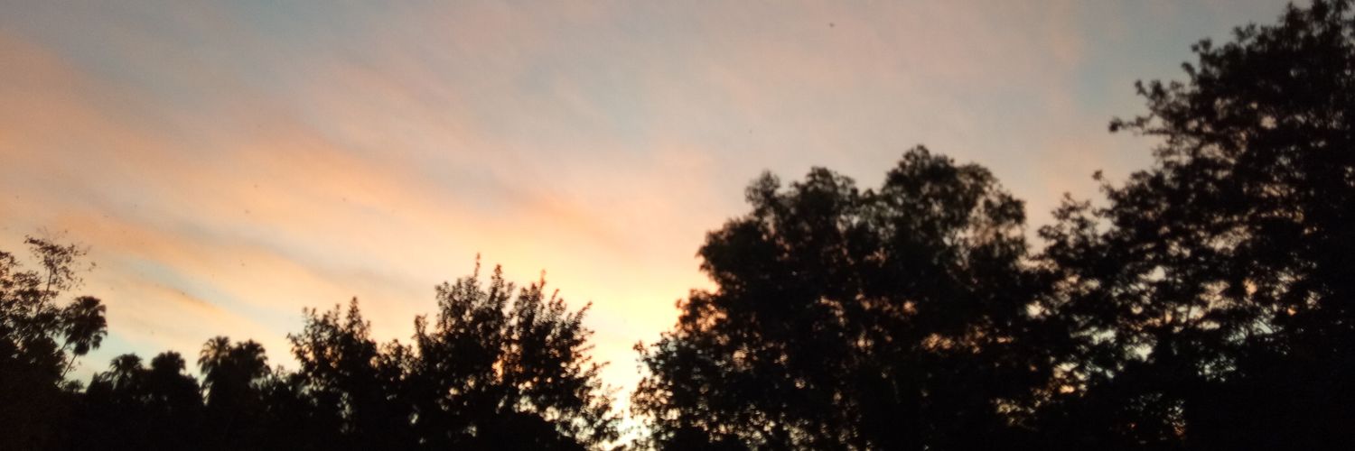vinight_w's profile banner image