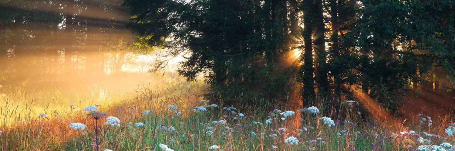 VolableValeen's profile banner image