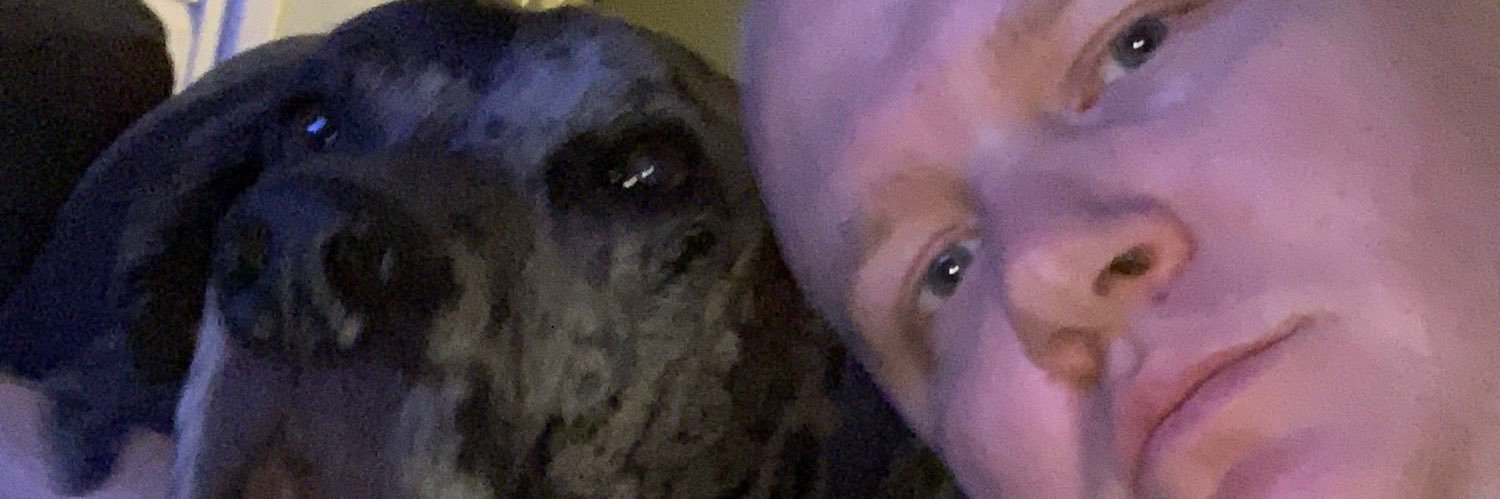 Daniel Pedersen banner