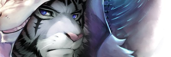 TigersFortune's profile banner image