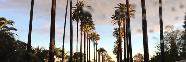 sochtakeeda Profile Banner