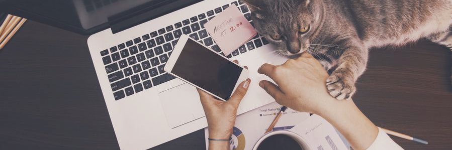 Maha al- jarbou banner