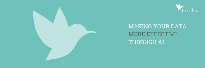 colibrybe's profile banner image