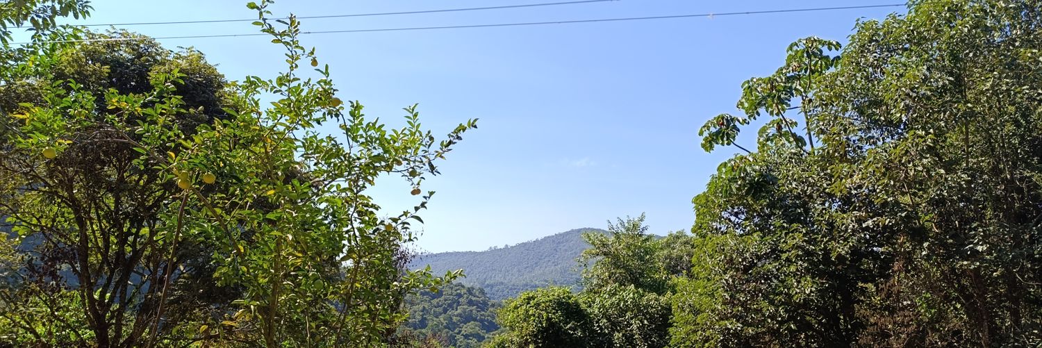 pattymonreal's profile banner image