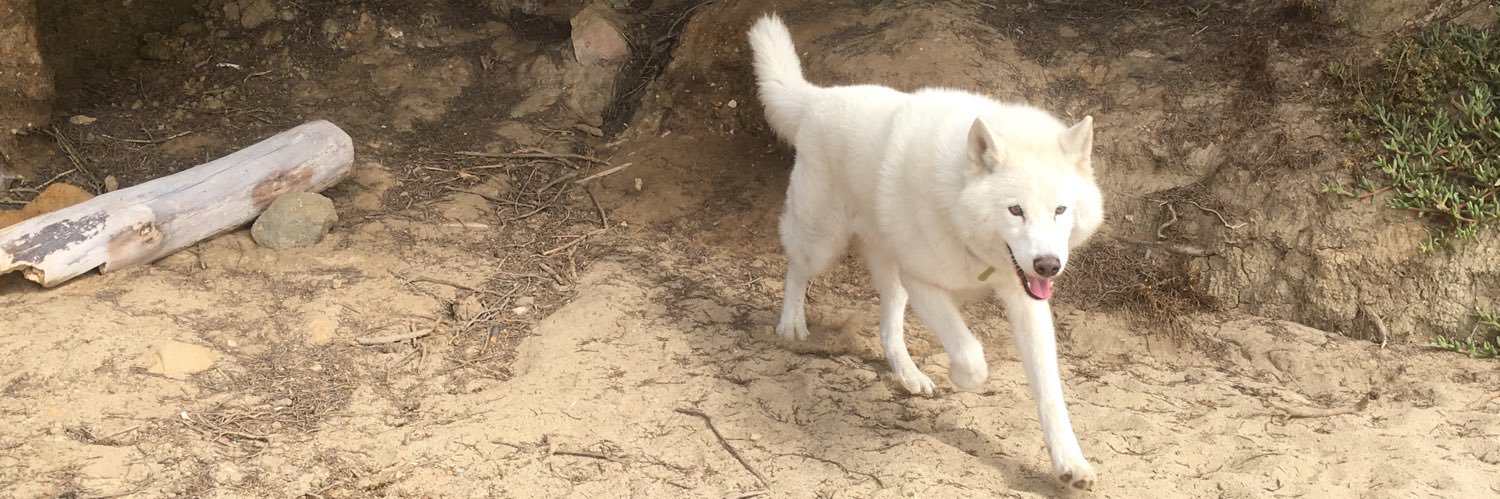 E P~n~KP ✝️ banner