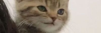 melkisedekIO's profile banner image