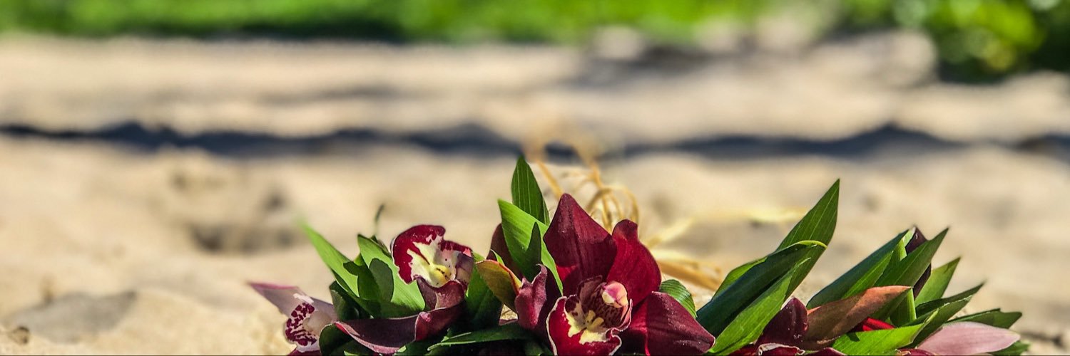 mlrbuendia's profile banner image
