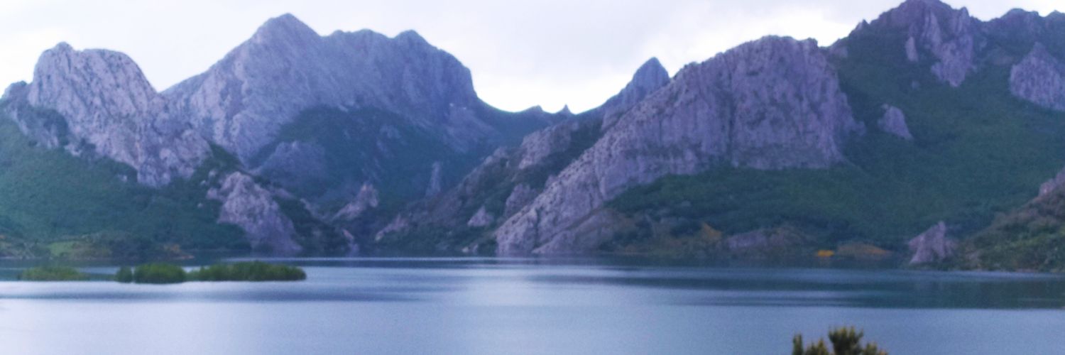 elainesxm's profile banner image