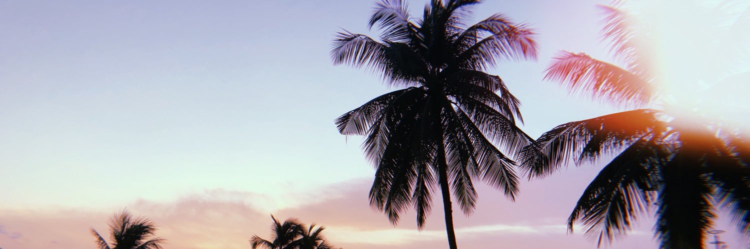 DanieIIeChan's profile banner image