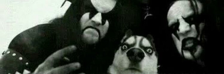 DaRealWulfshady's profile banner image