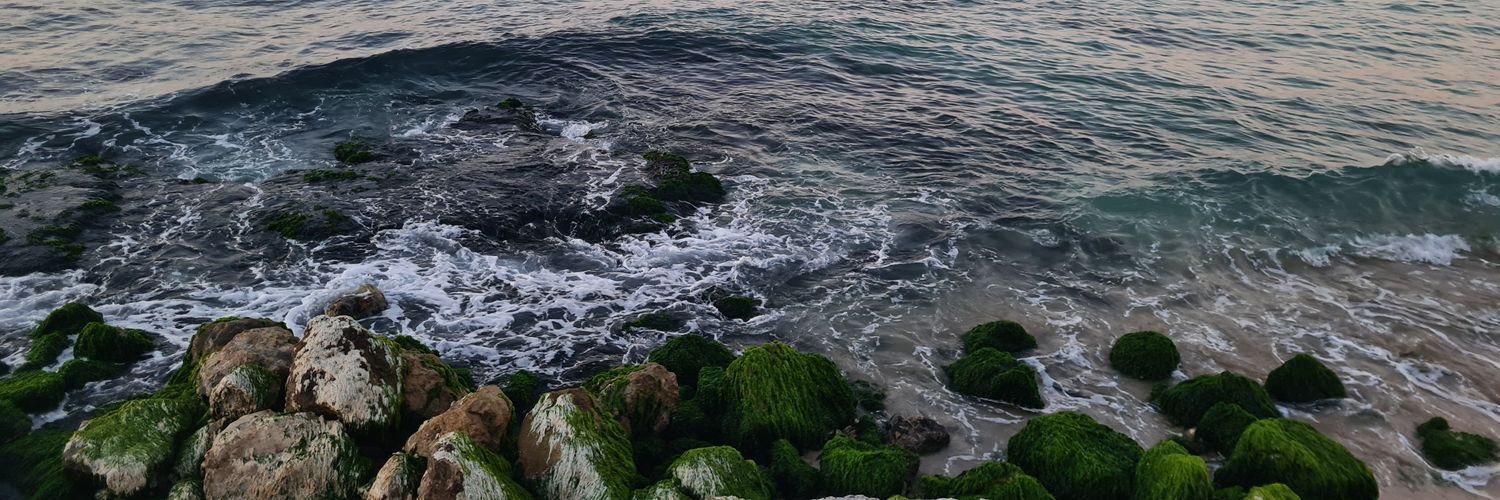 AdamMarcSarms's profile banner image