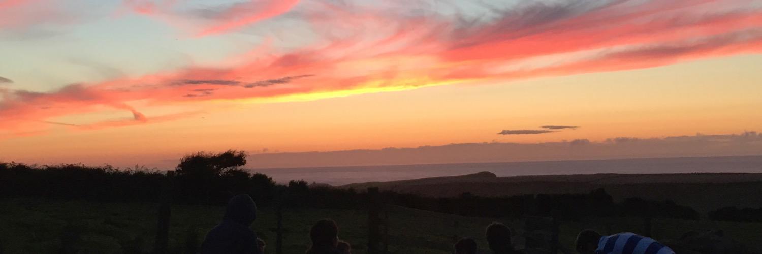 SimmonsJenAnn's profile banner image