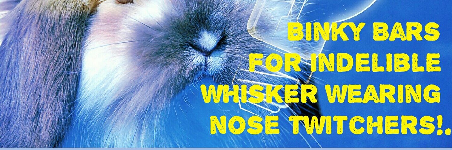 BinkyBars's profile banner image