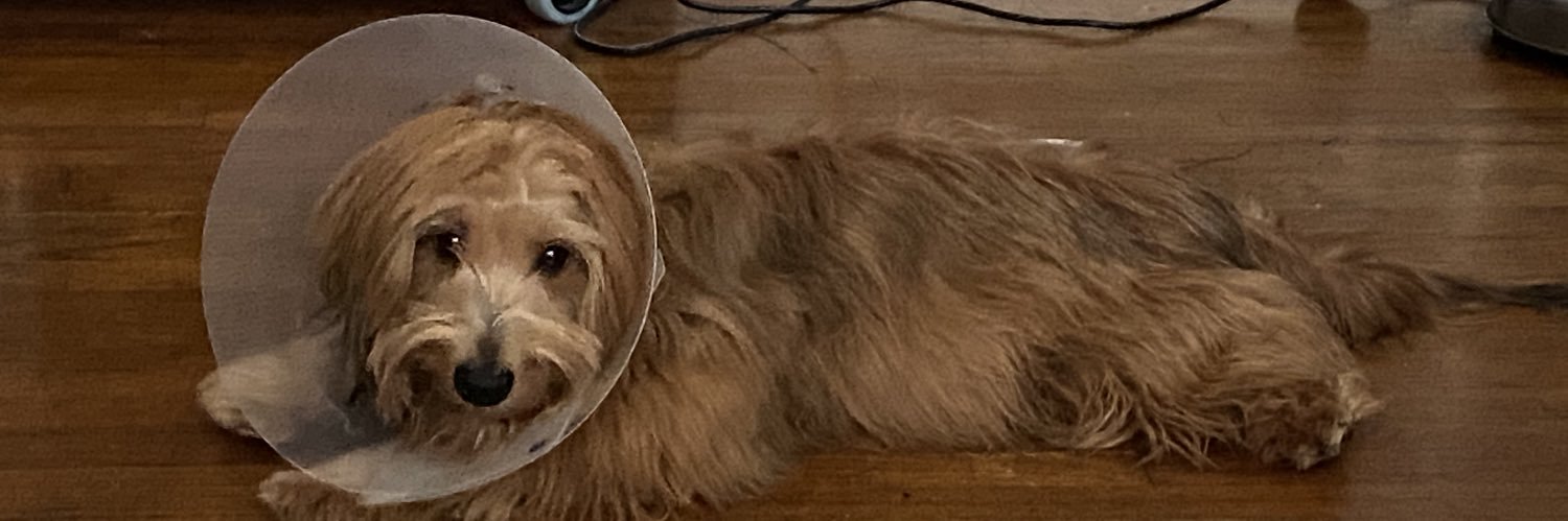 Javster_'s profile banner image