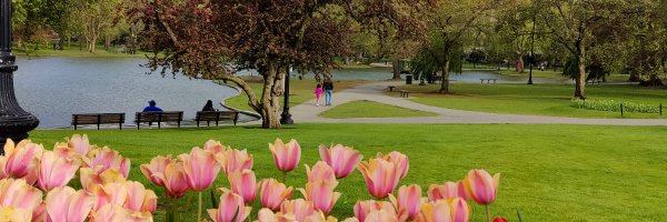 SLaxme Profile Banner