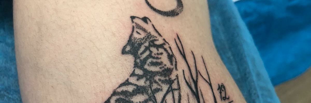christianjs11's profile banner image
