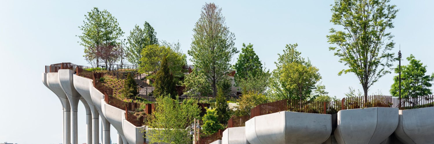 Yoely Lebovits banner