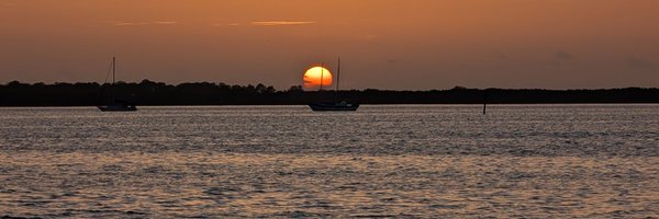 simplyorganicT Profile Banner