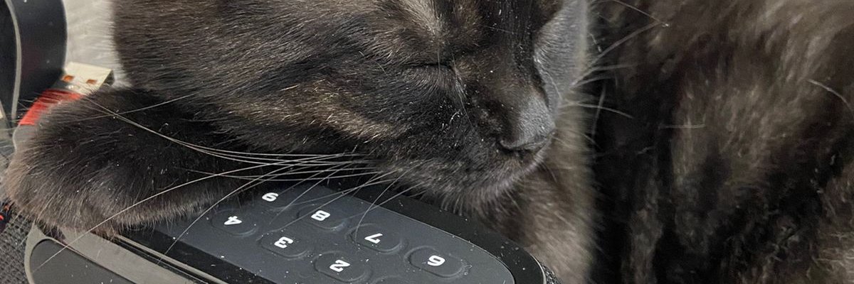MargaritaSpb's profile banner image