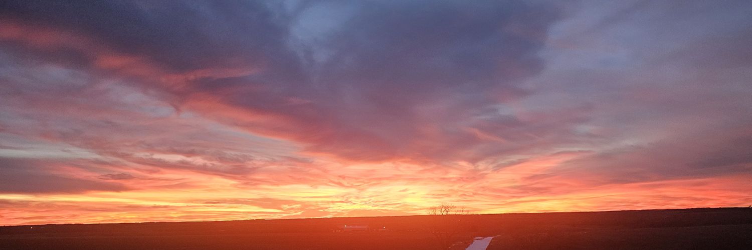 Becky Willmann banner