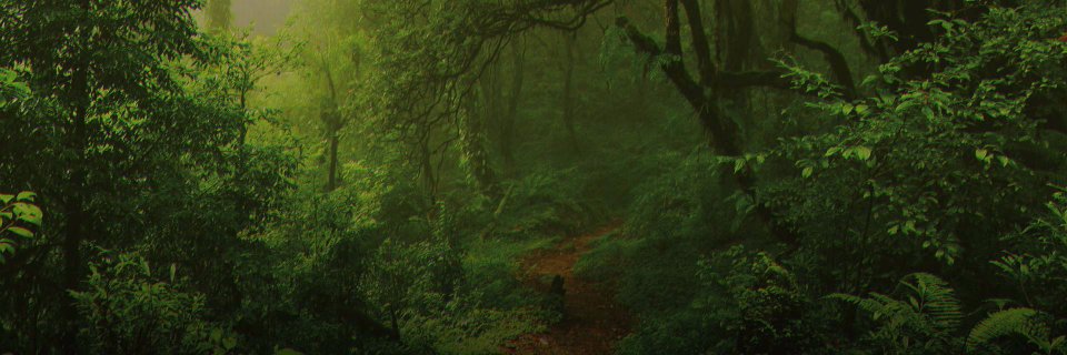 Snake_FoxDie's profile banner image