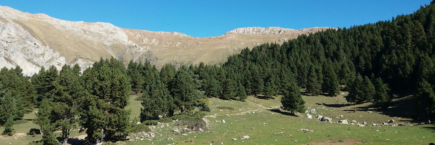 Frederic 🌟Rep.Cat🌟 banner