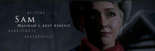 _ValiantSam_'s profile banner image