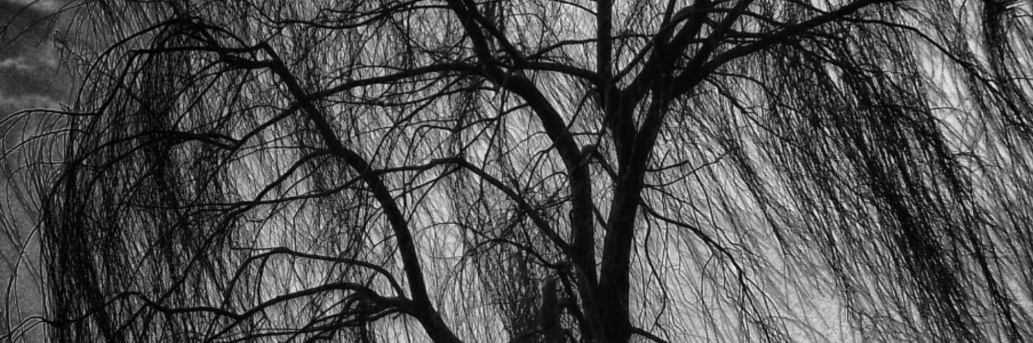 obemetal's profile banner image