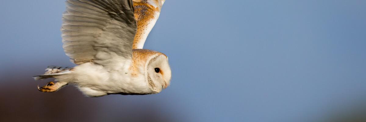 Prince_Mariela's profile banner image