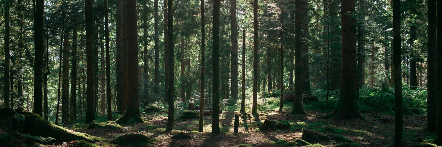 Hugo Boursier banner