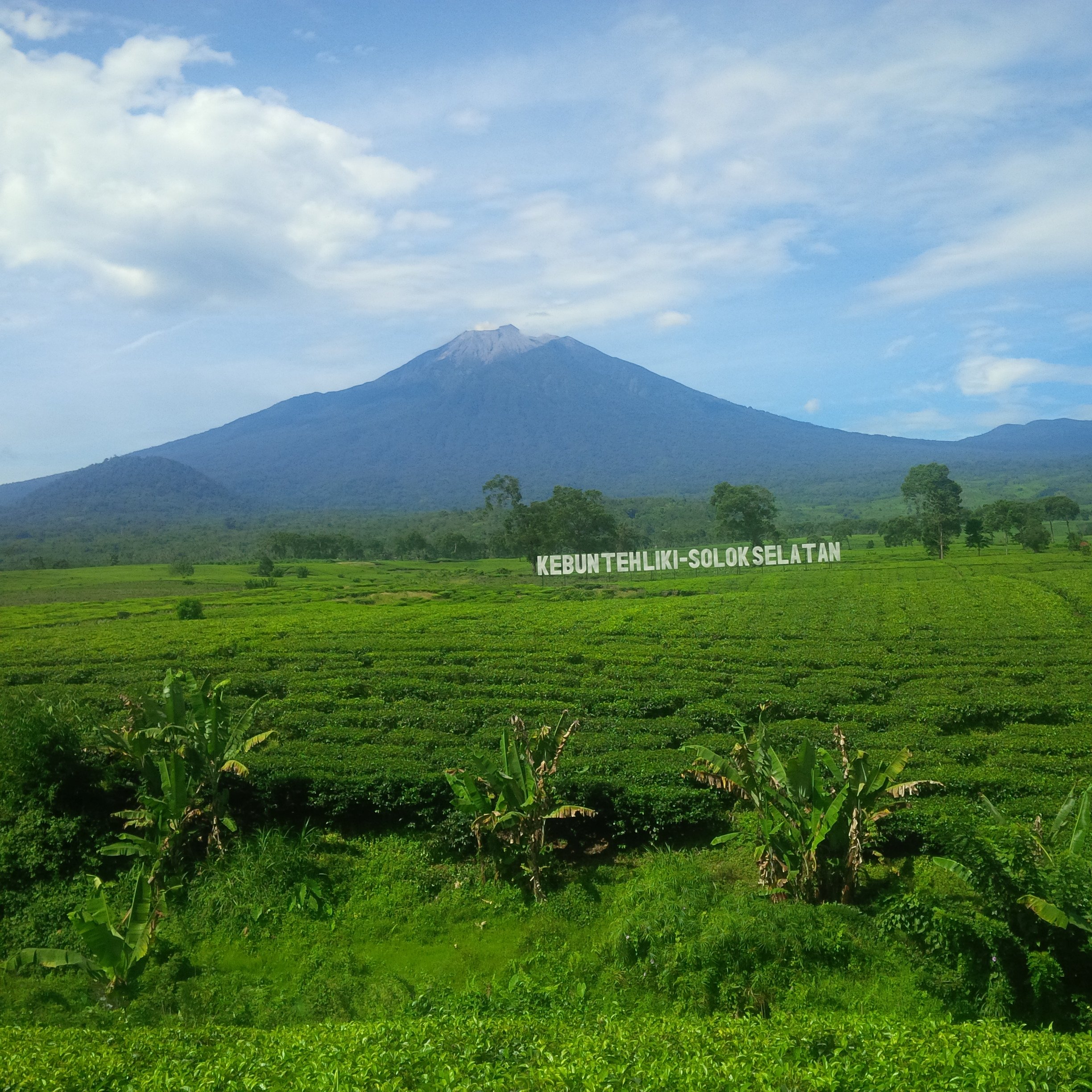 setiyadi3's profile banner image