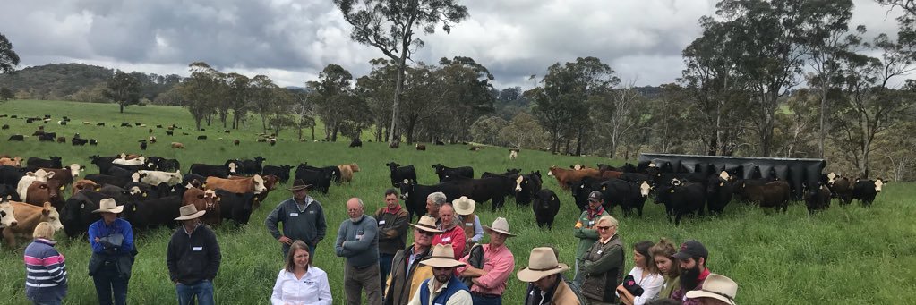 Stuart Austin banner