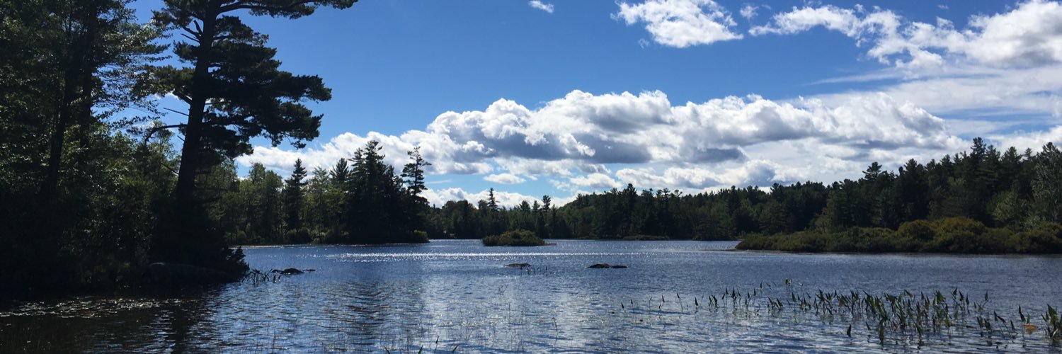 preethabread's profile banner image