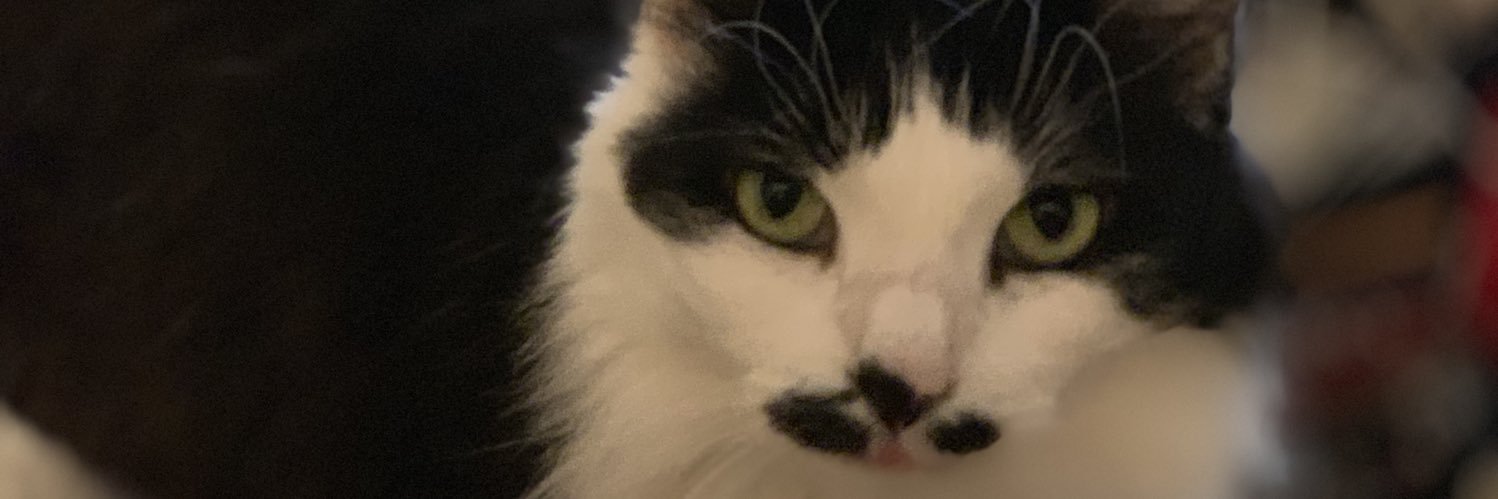mikkimouse78's profile banner image