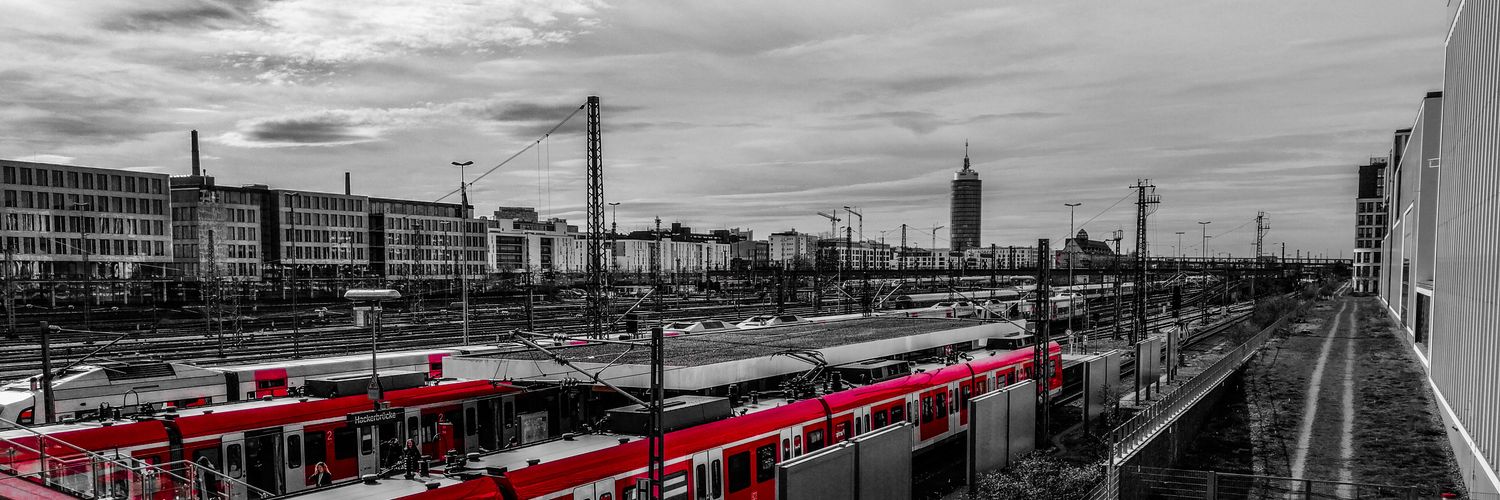 FinTheNoodle's profile banner image