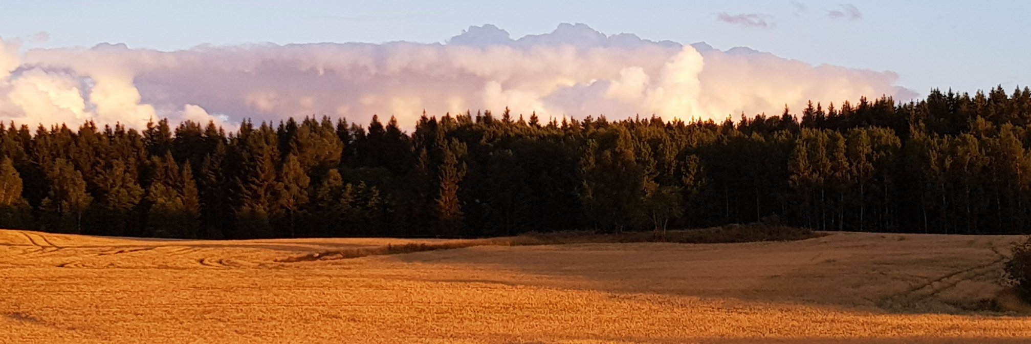 FluffZeke's profile banner image
