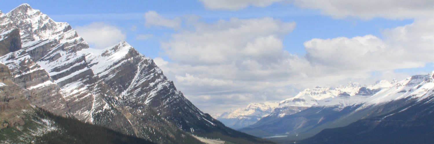 jacelanne's profile banner image