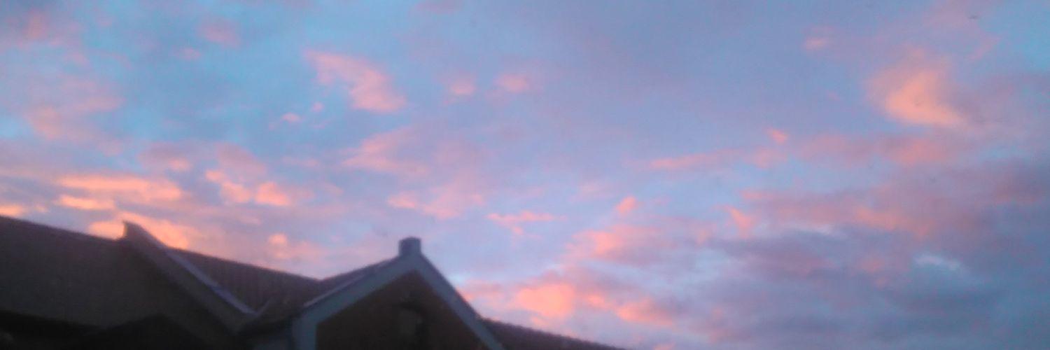Pikku__'s profile banner image